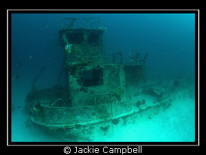 Tug boat wreck in the Maldives.
MWB, Fisheye lens and Ca... by Jackie Campbell 